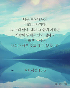 [IMG] 전도링 푸시 이미지